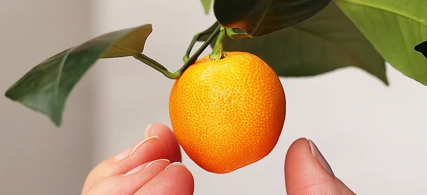 Top Benefits of Calamansi for Glowing and Clear Skin