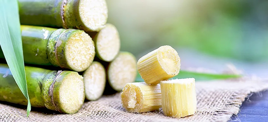health benefits of sugarcane juice